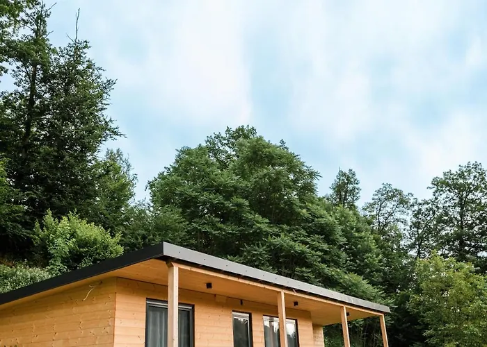 Fernblick Holiday home *