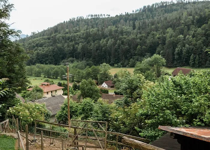 Fernblick Holiday home *